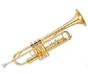 خرید اقساطی انواع ساز