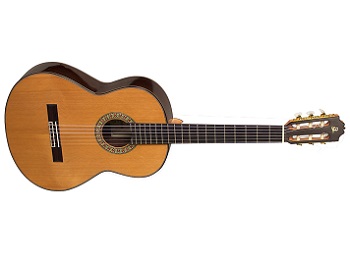 خرید اقساطی انواع گیتار