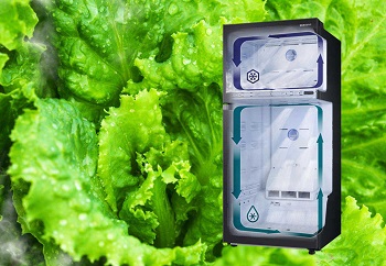 یخچال فریزر دو تیکه سامسونگ